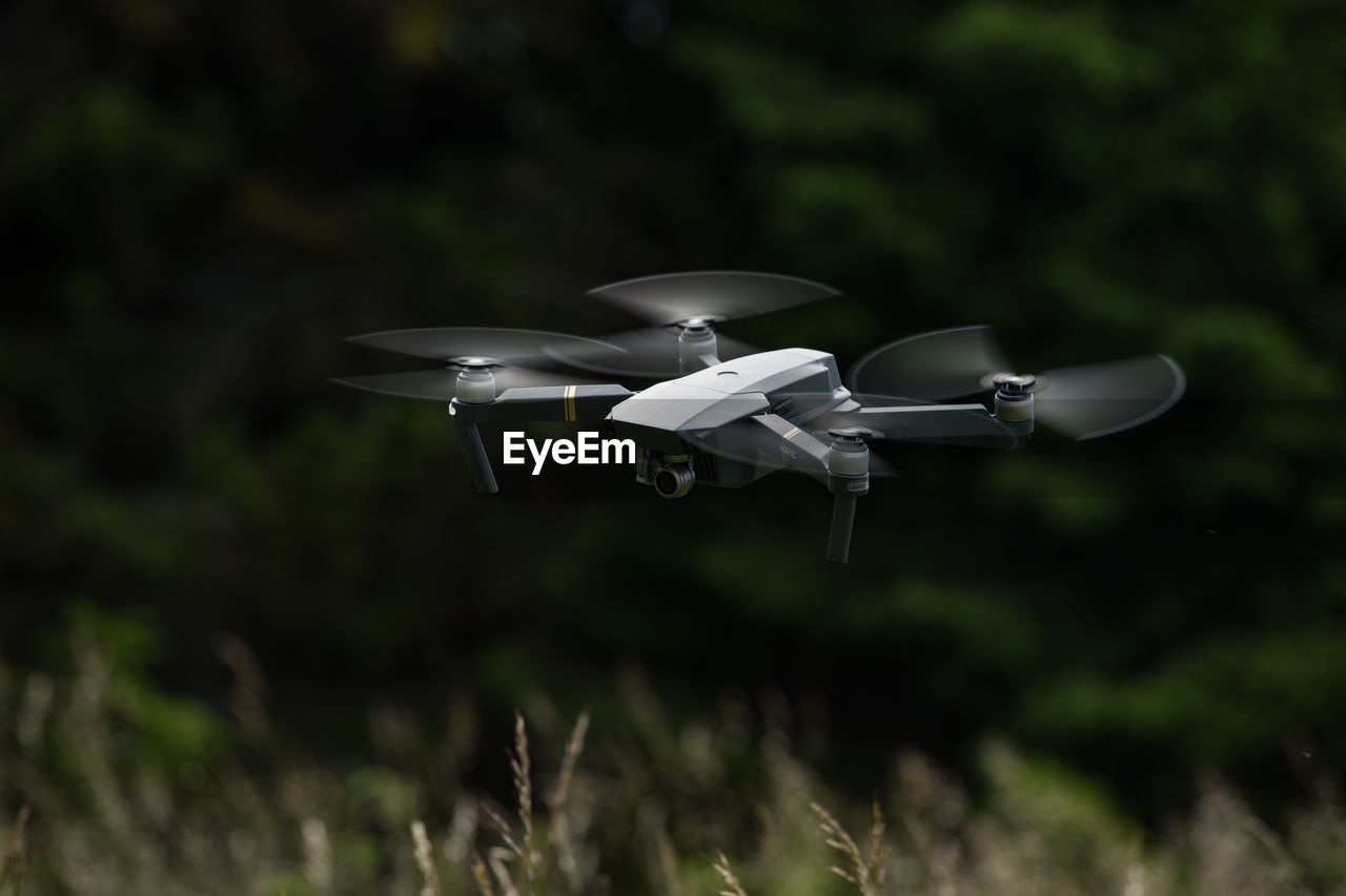 Close-up of drone against grass