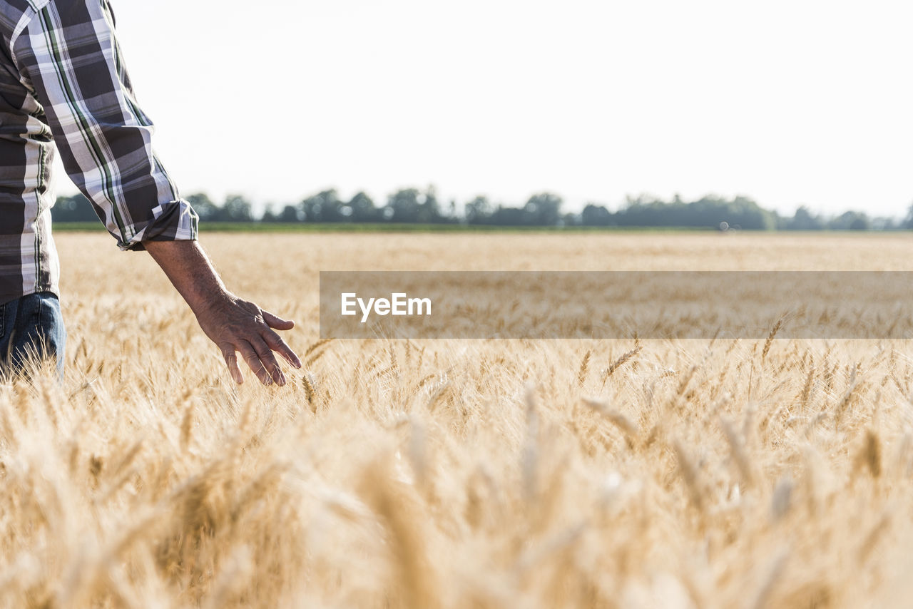 Senior farmer in a wheat field, partial view