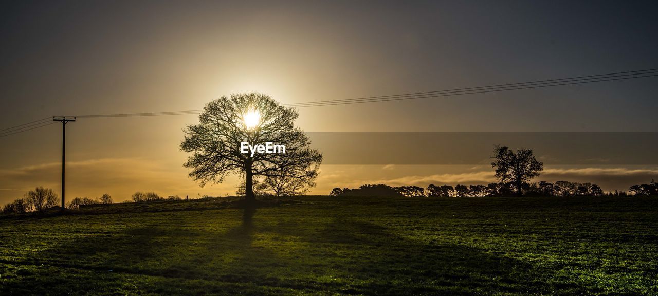 Scenic view of field against sky during sunset