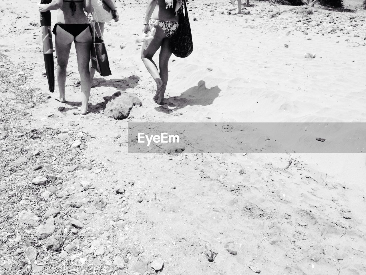 Low section of women walking on beach