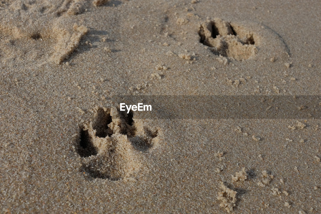 HIGH ANGLE VIEW OF FOOTPRINTS ON SAND