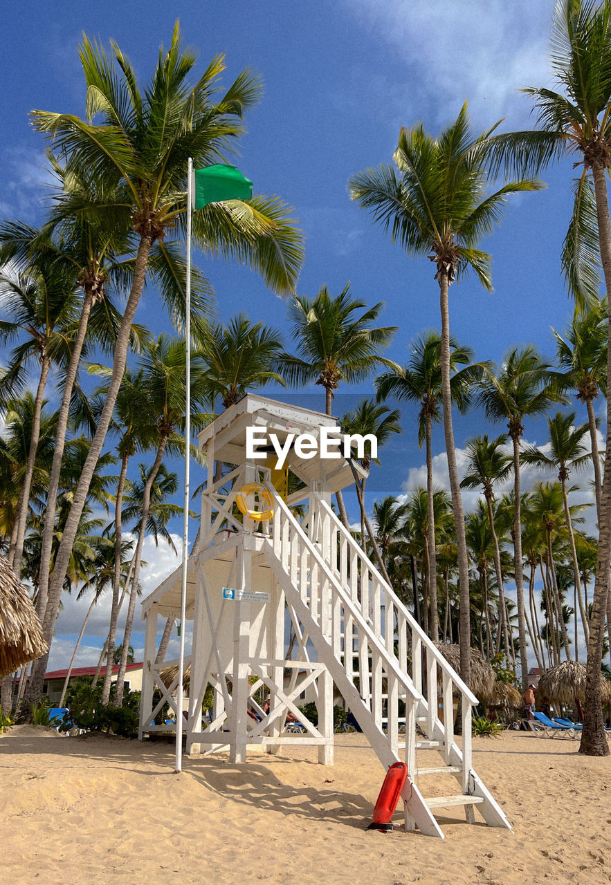 palm trees on beach against blue sky