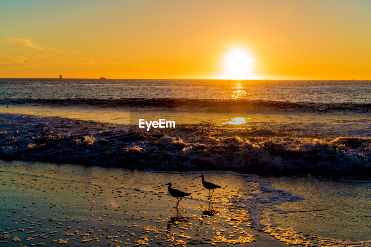 SCENIC VIEW OF SEA AT SUNSET