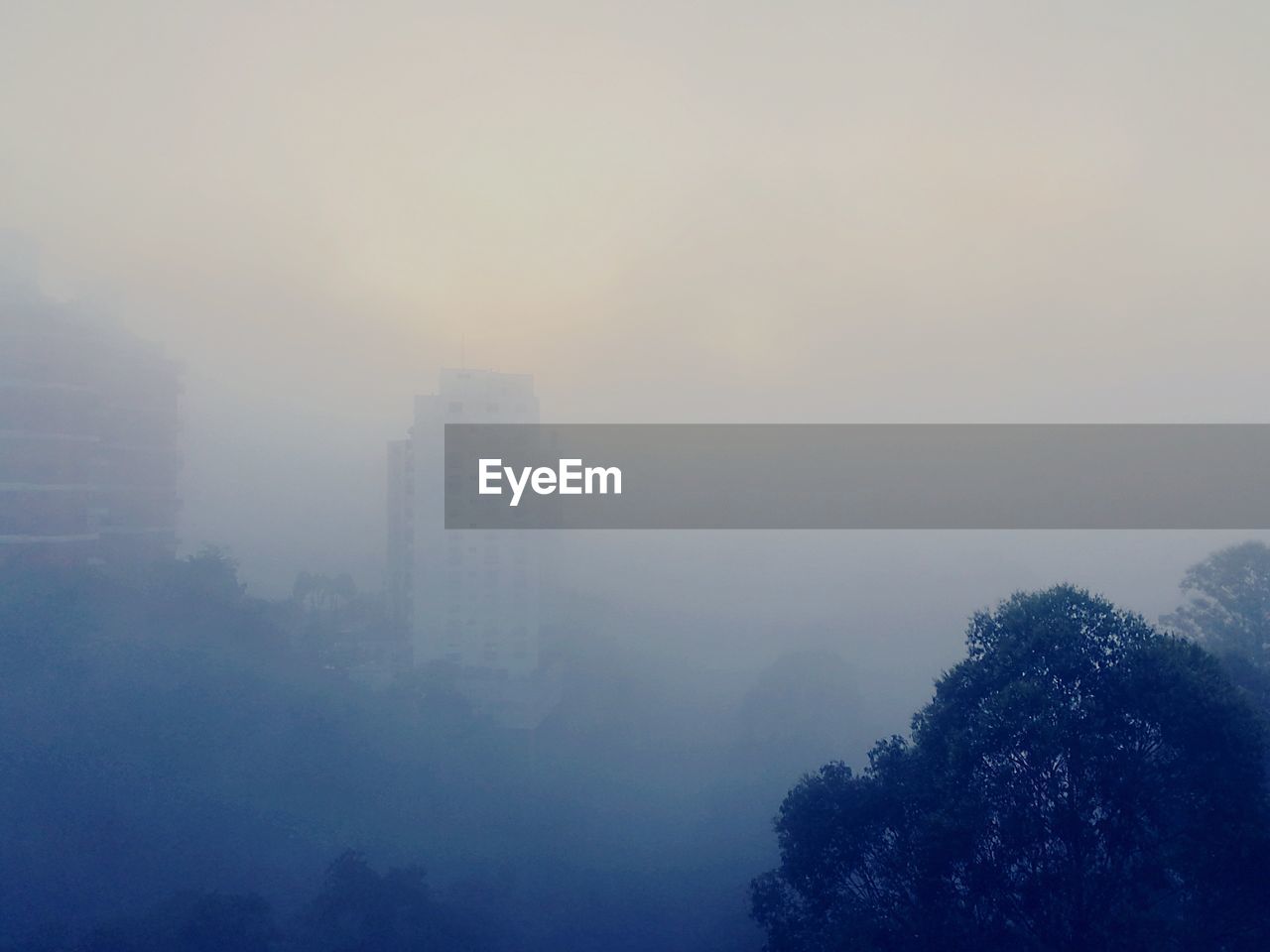 Tree Morning Fog City Sun Travel Outdoors No People Vacations Nature Architecture Sky Modern Mountain Day Colour Your Horizn The Great Outdoors - 2018 EyeEm Awards Capture Tomorrow