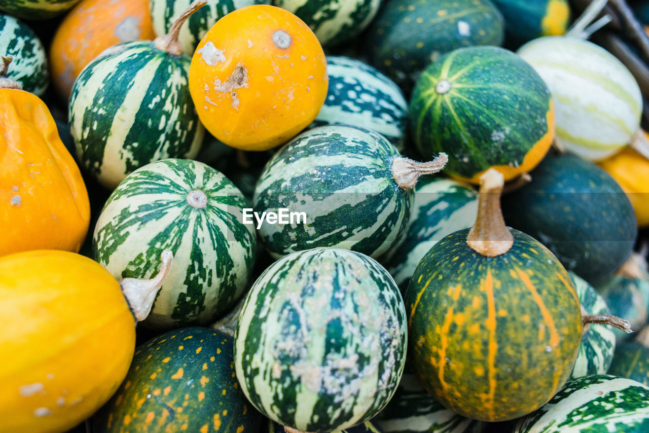 CLOSE-UP OF PUMPKINS IN MARKET