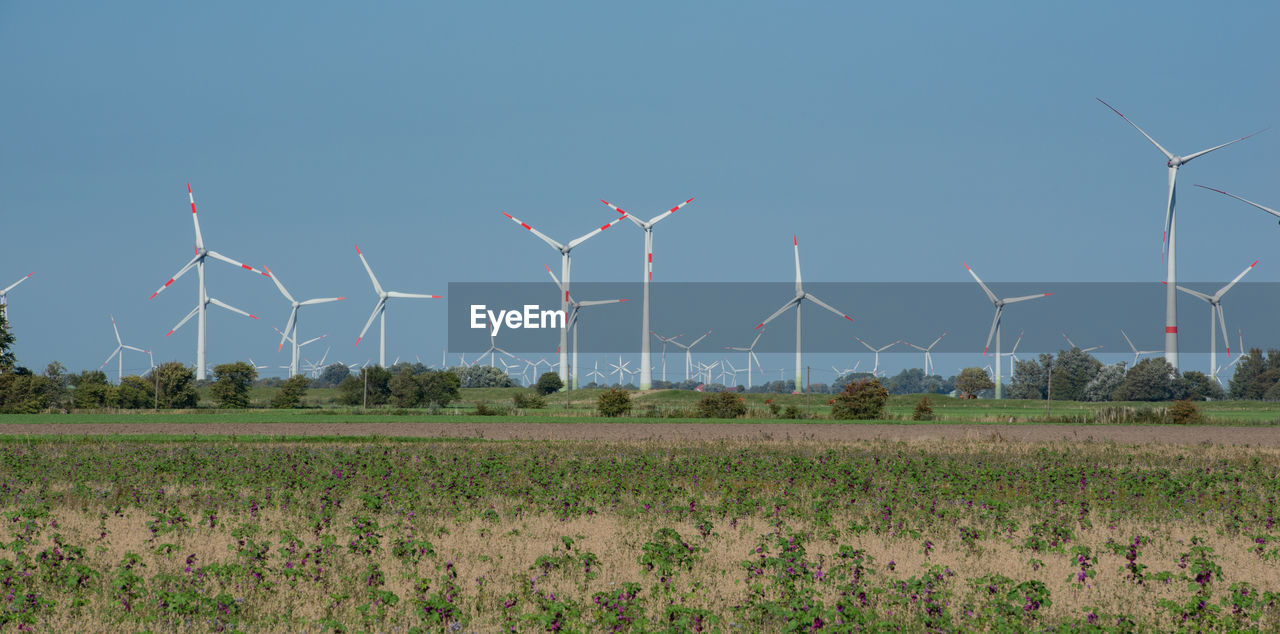 WIND TURBINES ON FARM AGAINST SKY