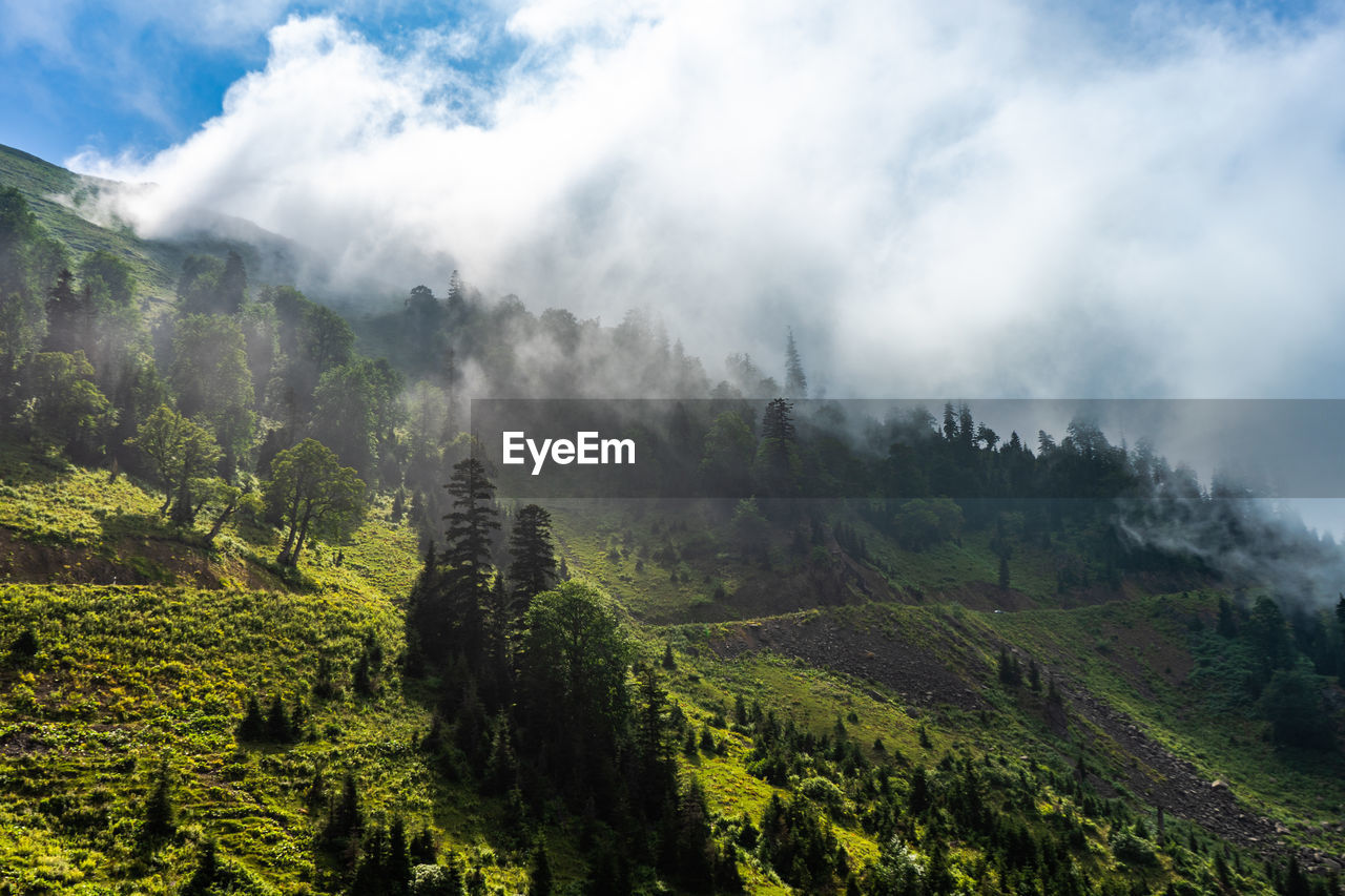 Drone view of thick white clouds floating over grassy valley and mountains with green trees on summer day in highlands