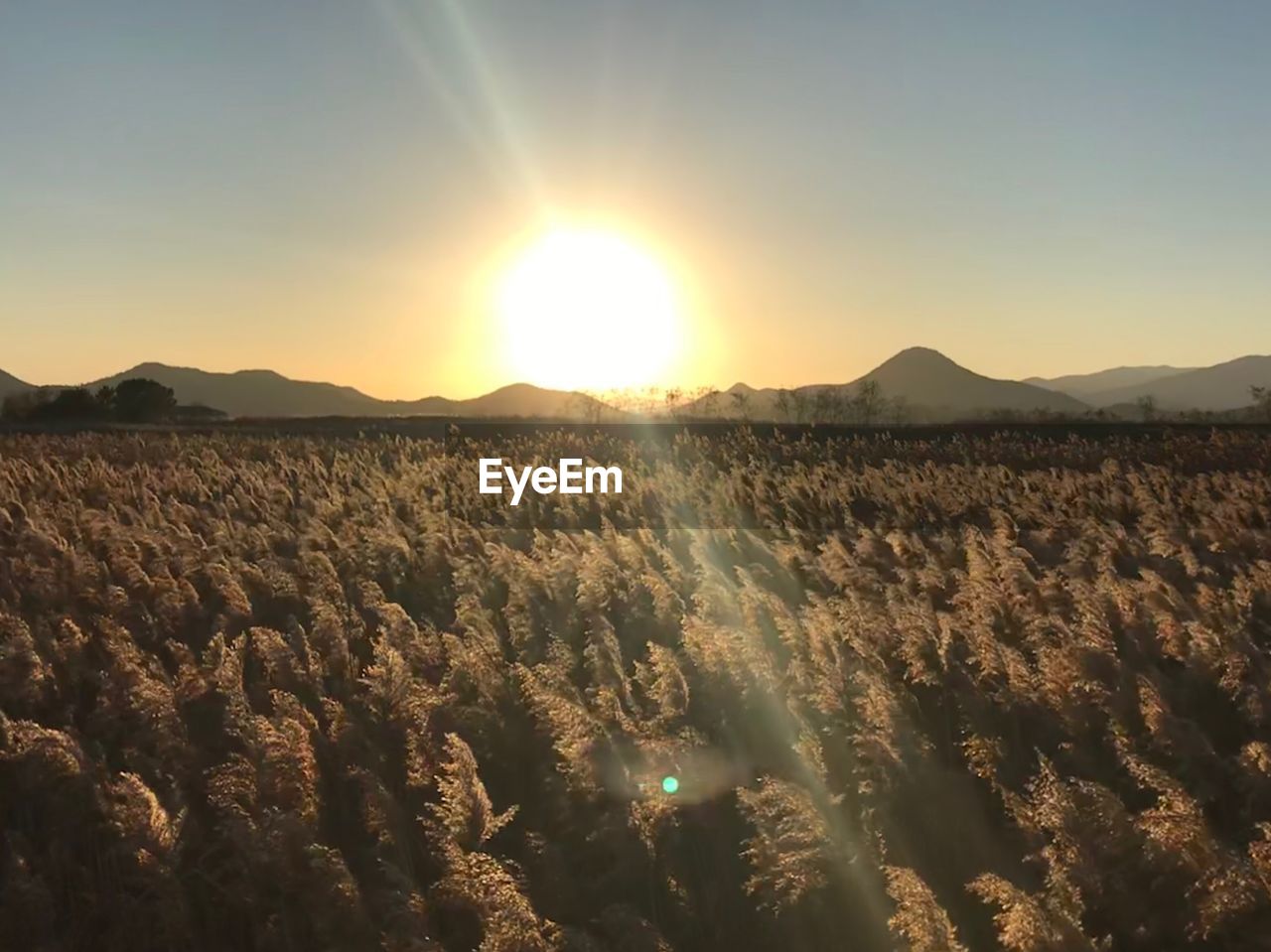 PANORAMIC SHOT OF LANDSCAPE AGAINST SKY DURING SUNSET