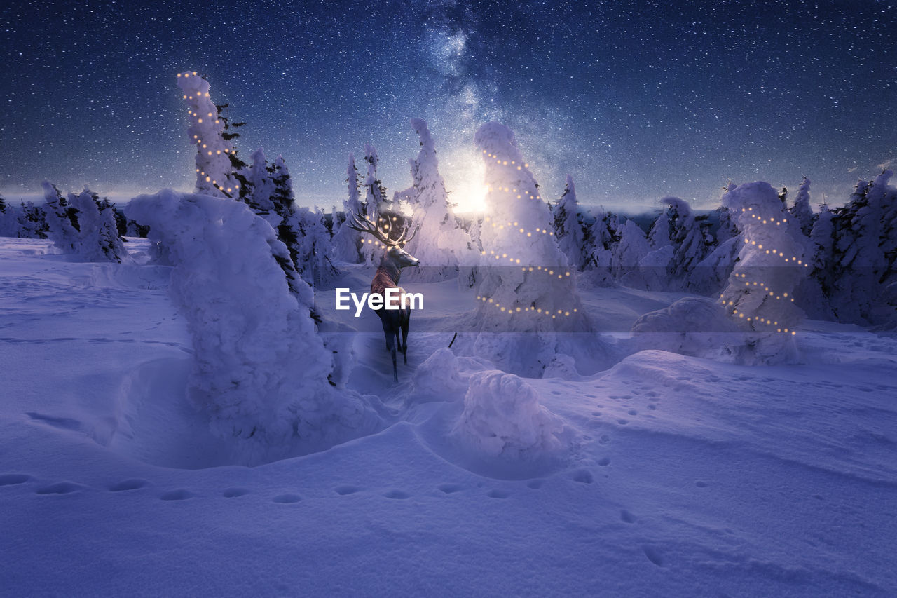 Person skiing on snow covered field against sky