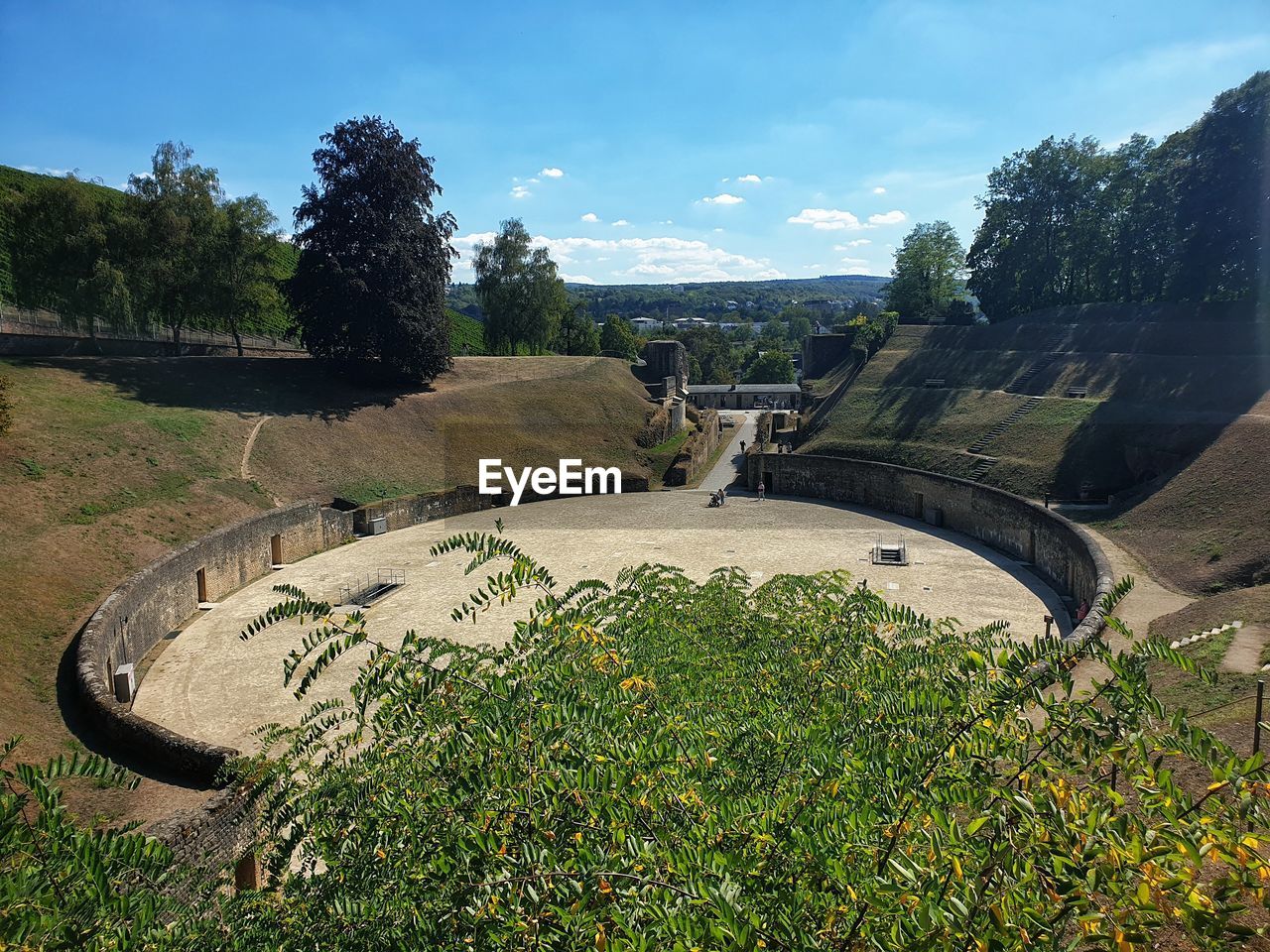 VIEW OF PLANTS ON LANDSCAPE