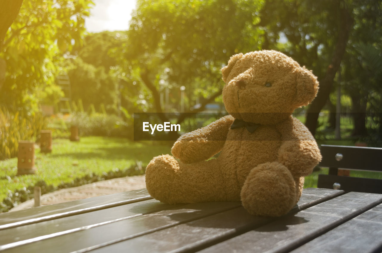 Teddy bear on table in park