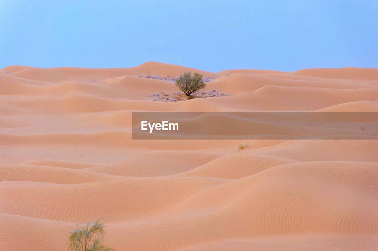 Algerian desert