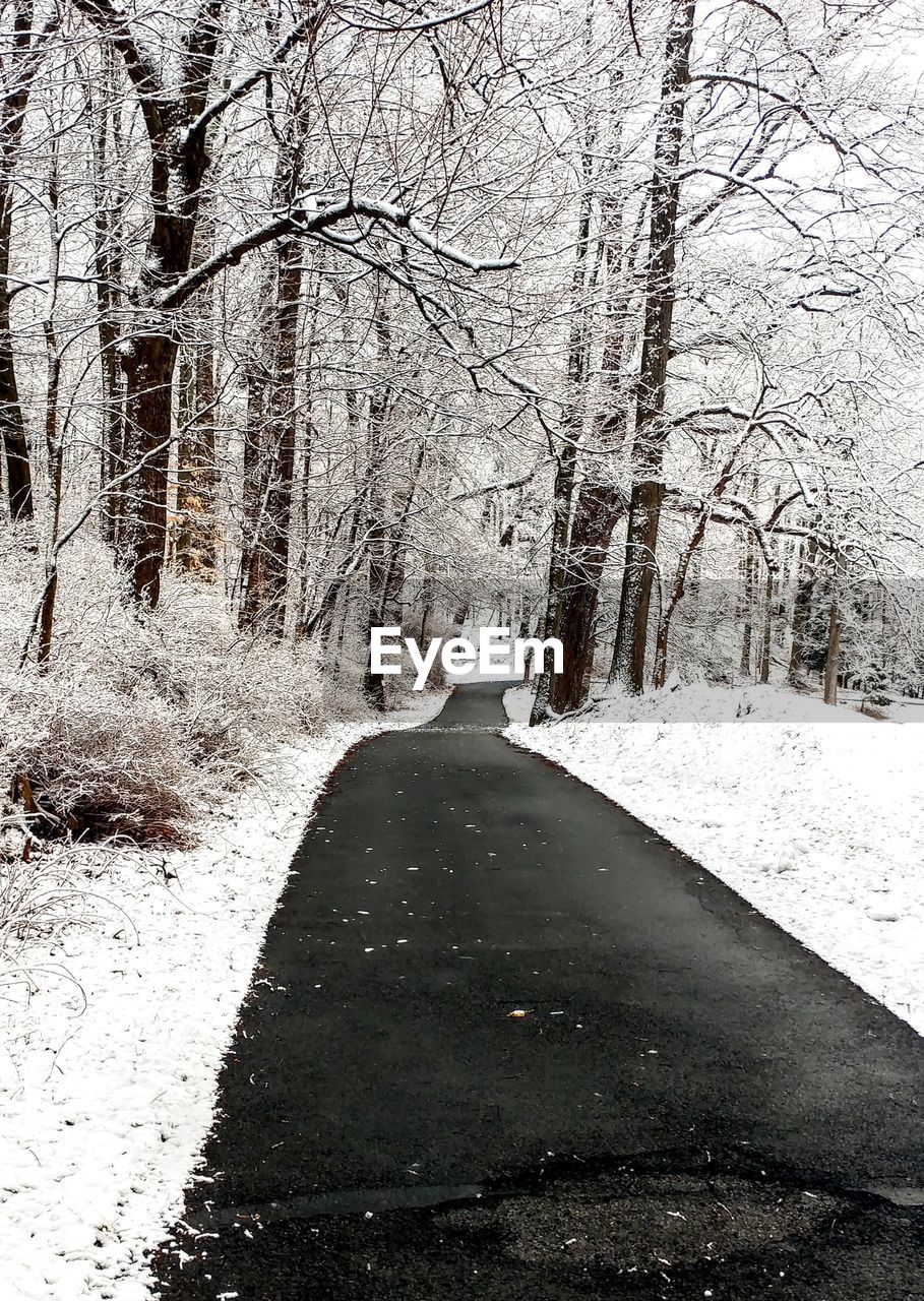 ROAD AMIDST BARE TREES IN WINTER