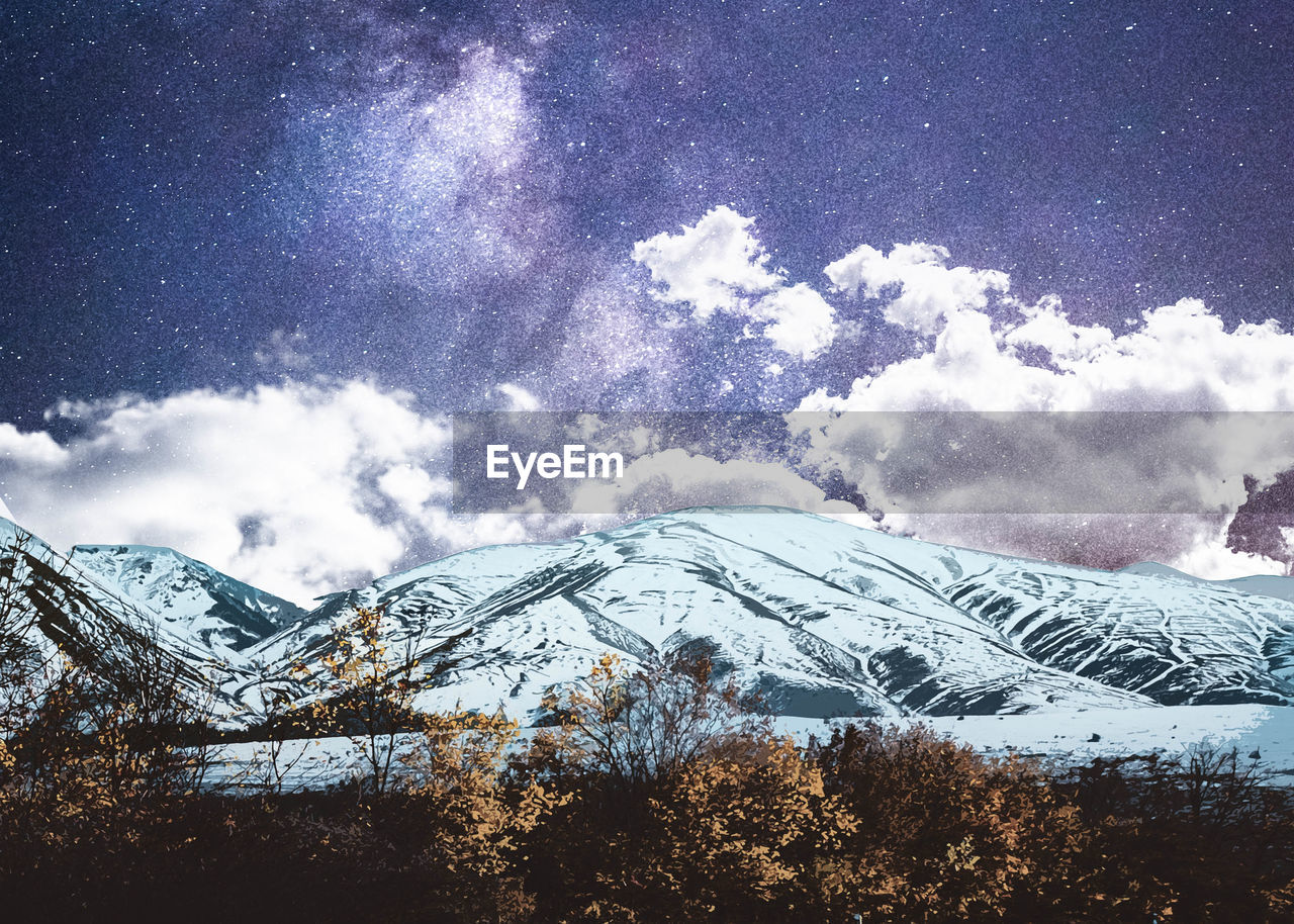 SNOW COVERED TREES AGAINST SKY