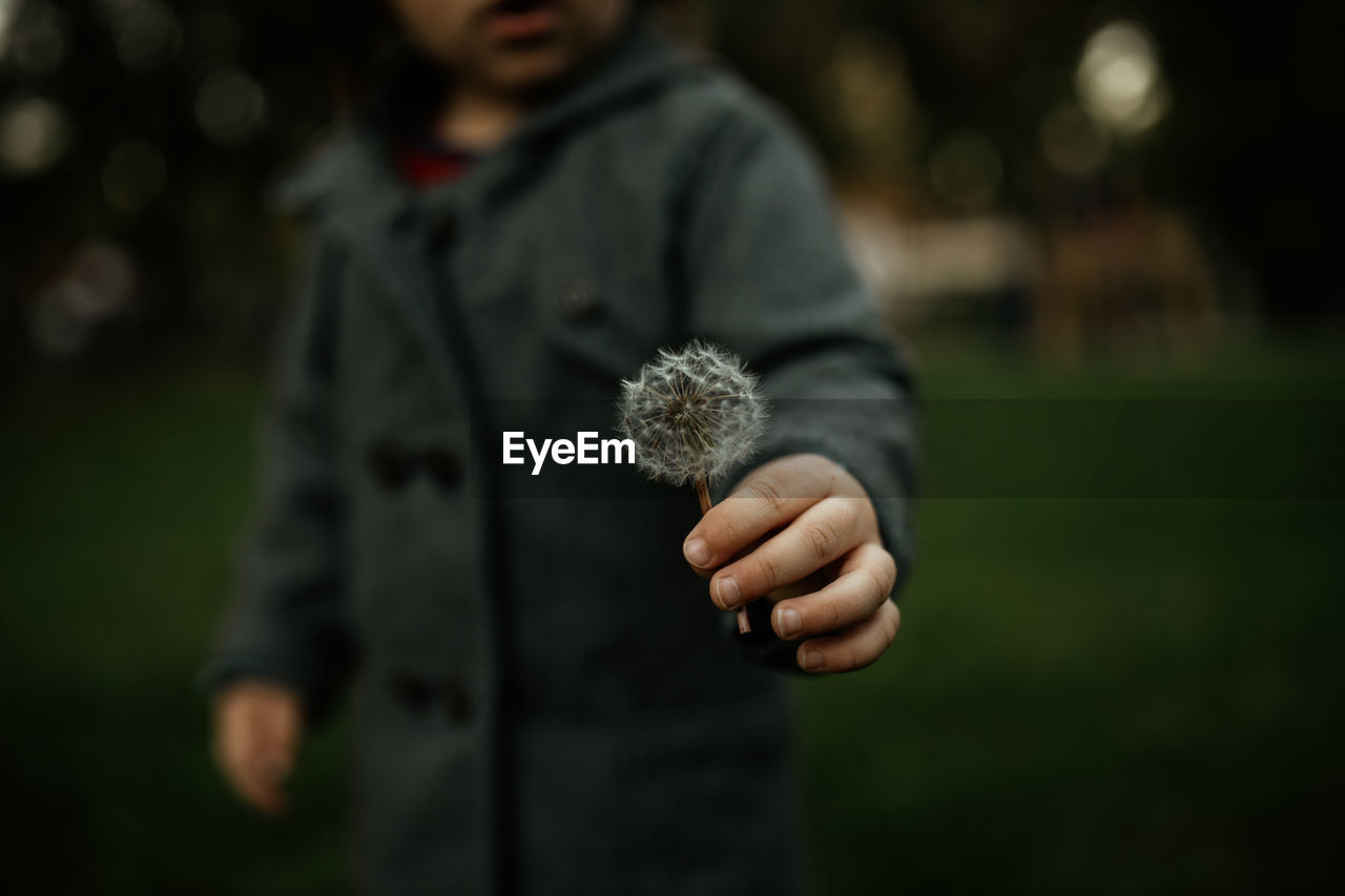 Child holding a dandelion