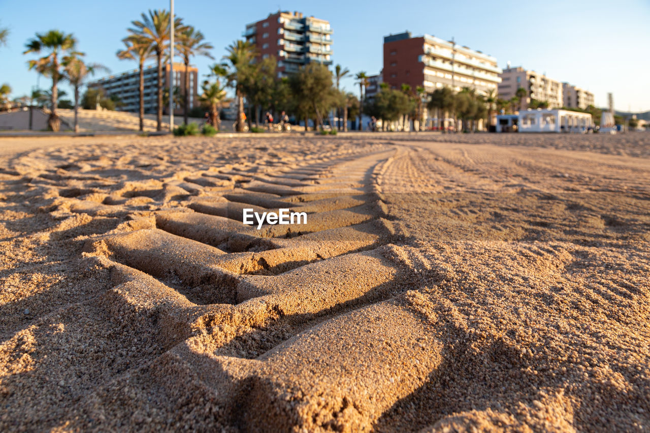 SURFACE LEVEL OF PEOPLE ON BEACH