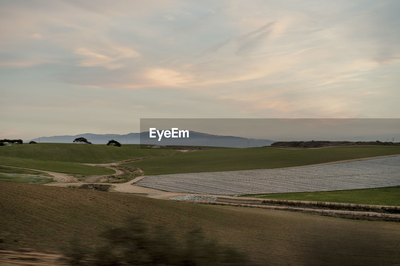 Northern california farmland at sunset