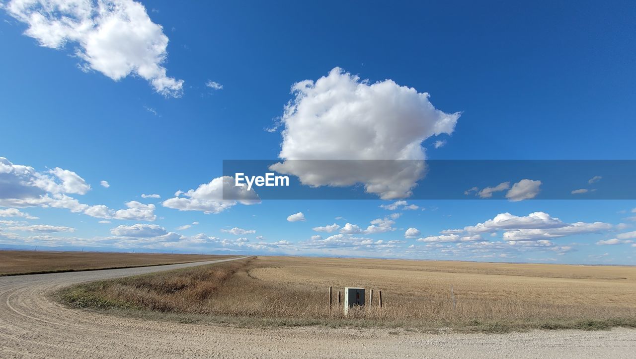 FIELD AGAINST SKY