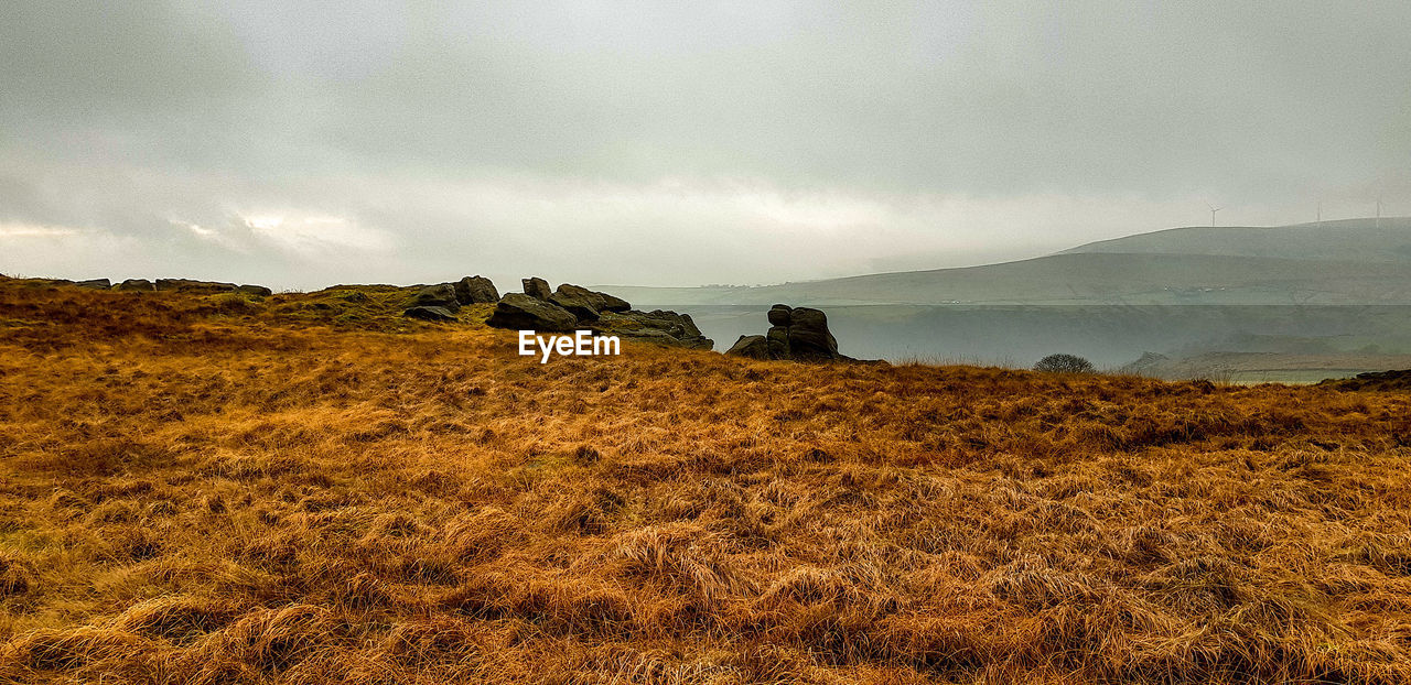 Scenic view of field against sky