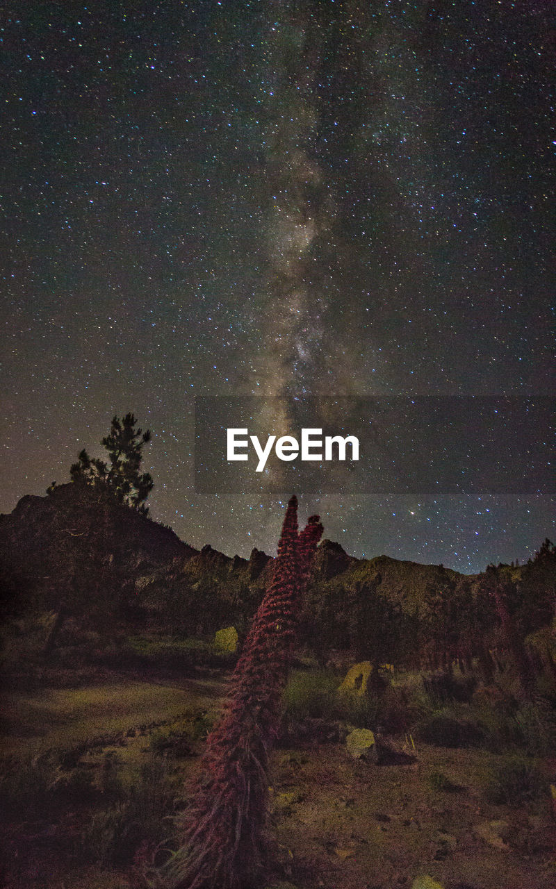 Scenic view of star field against sky at night