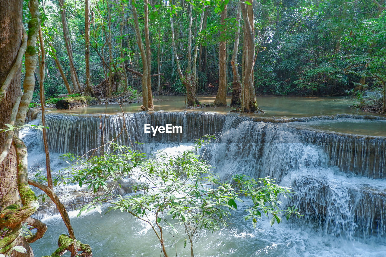 SCENIC VIEW OF WATERFALL