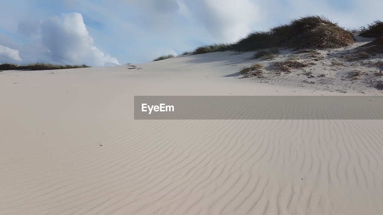 SCENIC VIEW OF SAND DUNE ON BEACH AGAINST SKY