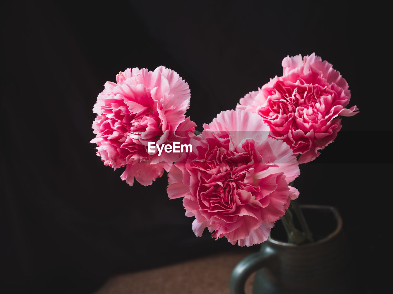 pink, flower, flowering plant, plant, black background, beauty in nature, freshness, petal, close-up, indoors, studio shot, flower head, nature, inflorescence, fragility, no people, vase, macro photography, blossom, flower arrangement