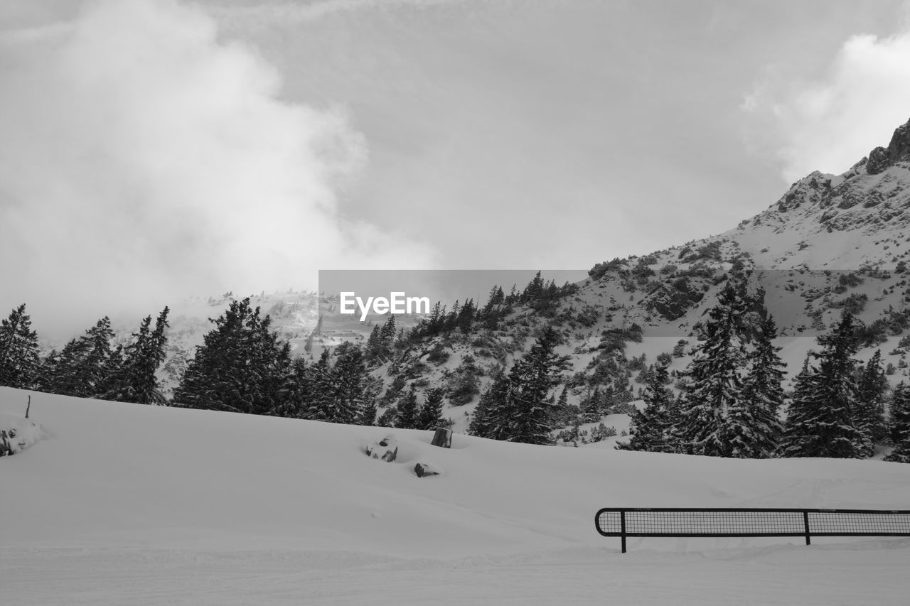 Trees on snow covered field by mountain against sky