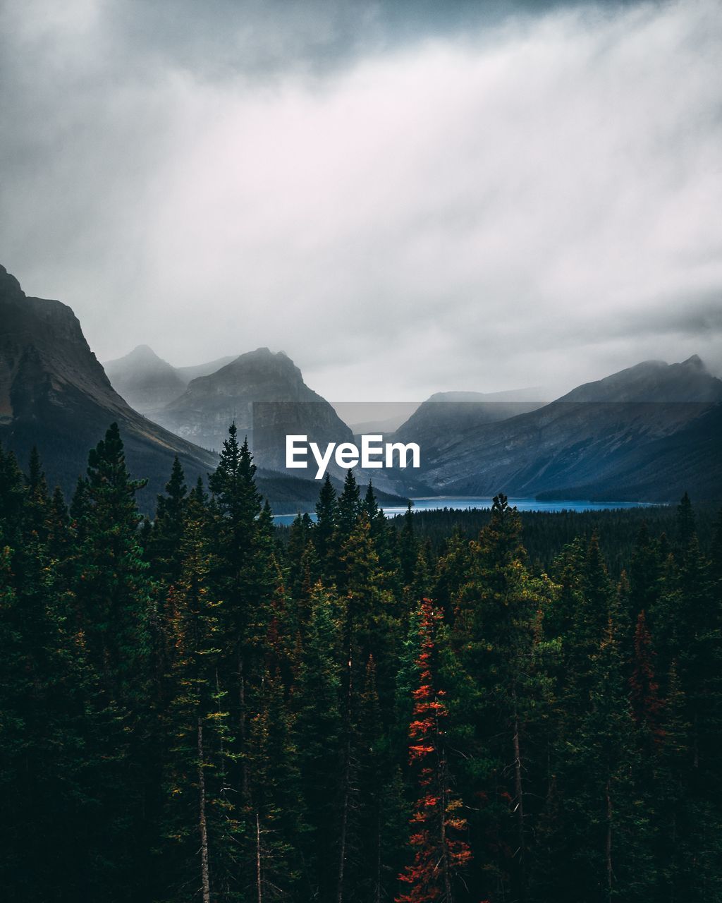 Scenic view of forest and mountains against cloudy sky