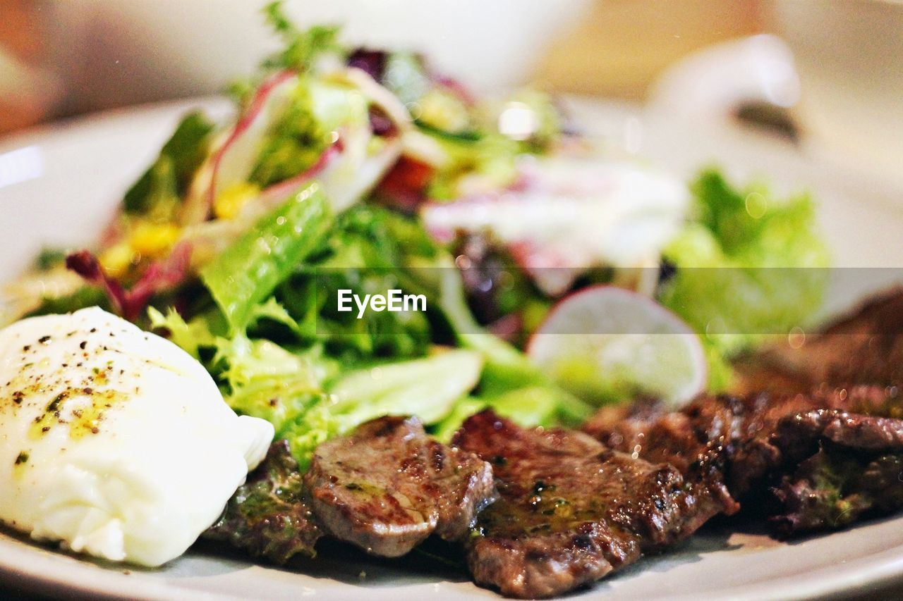 Close-up of meal served in plate