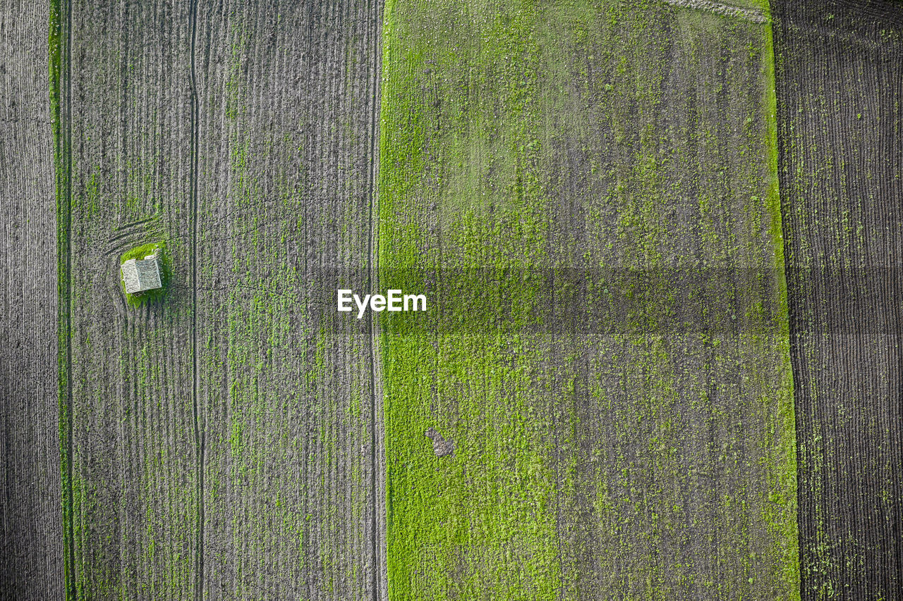 Aerial view of agricultural field