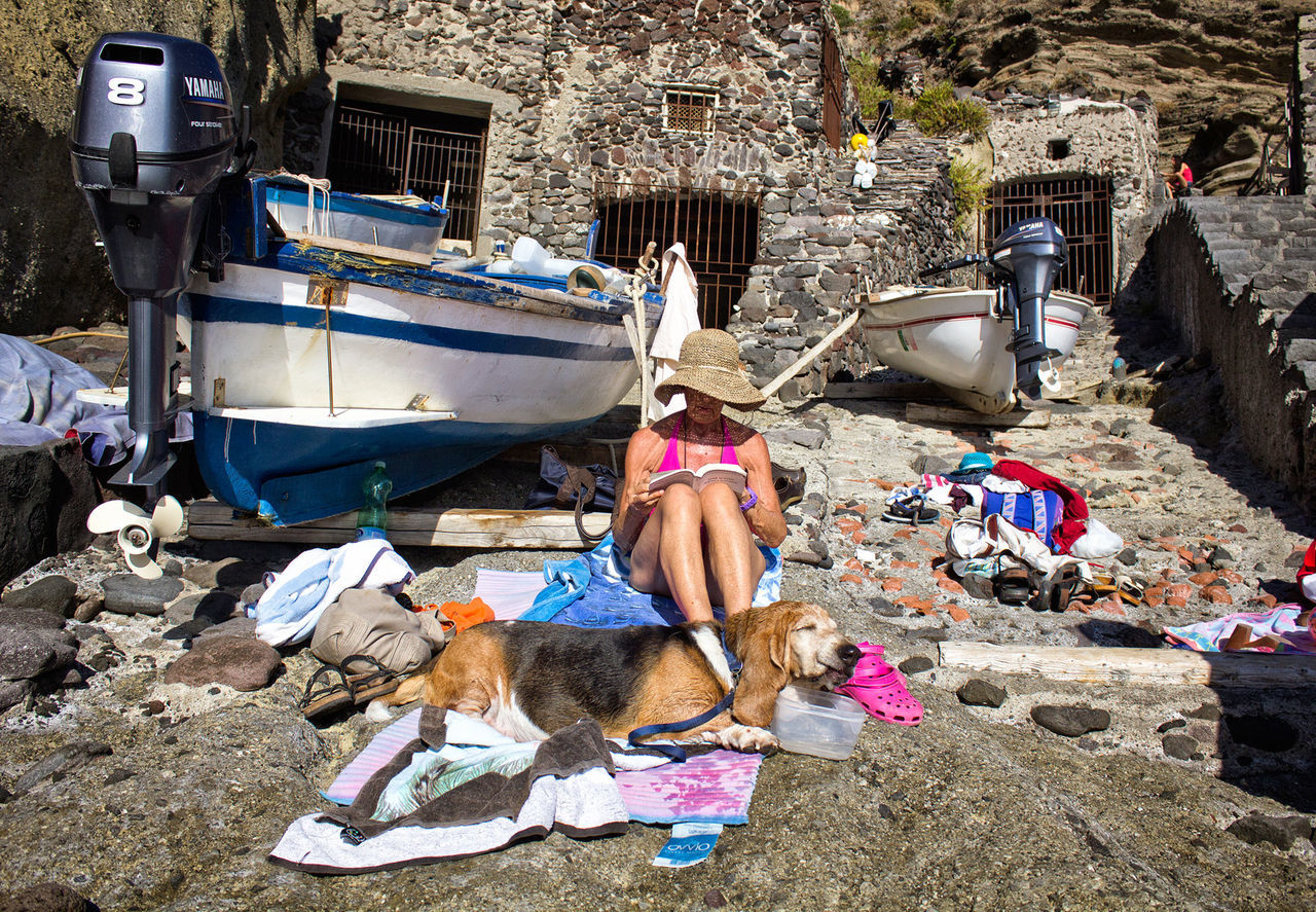 DOG ON BOATS MOORED