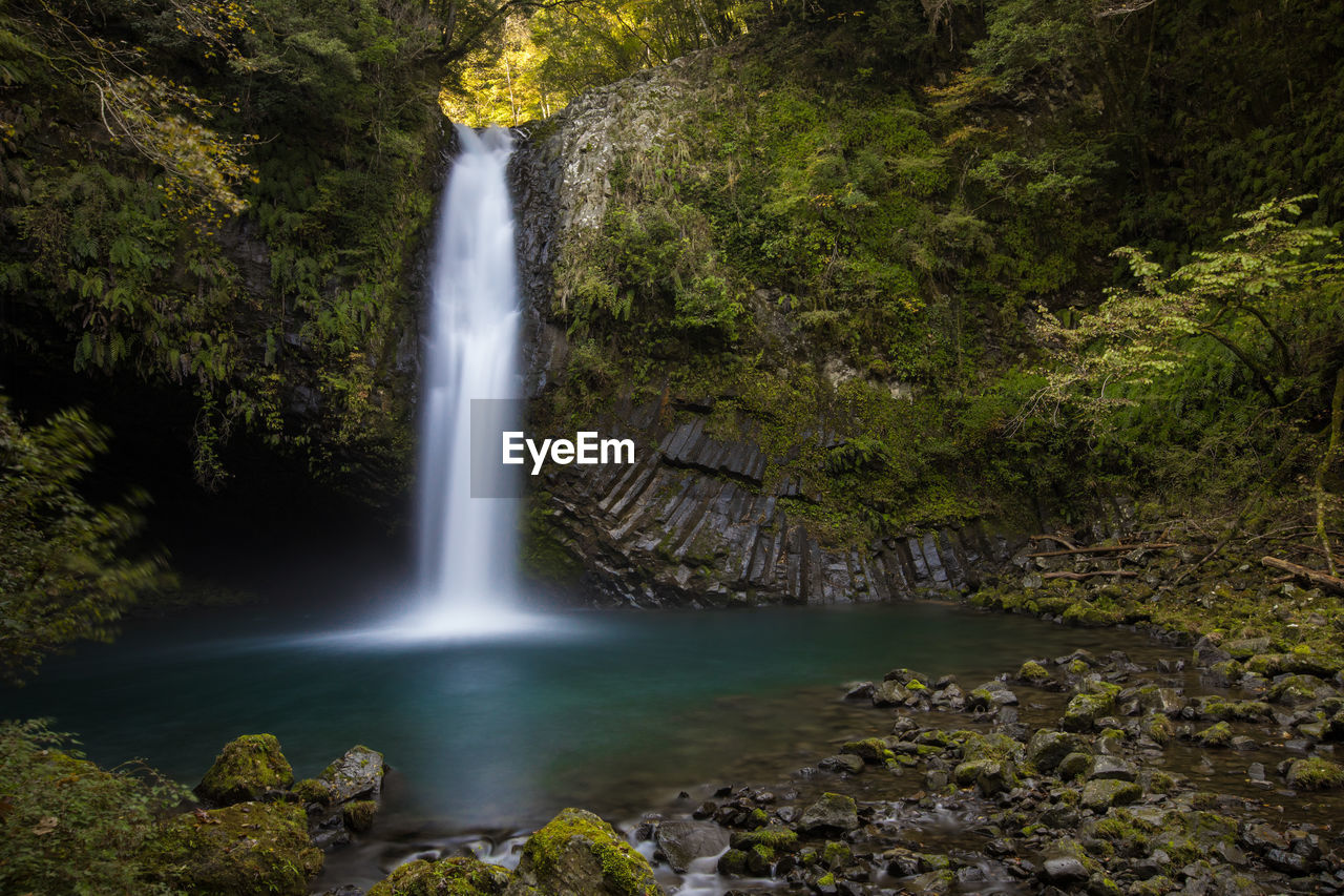 Close-up of waterfall in forest