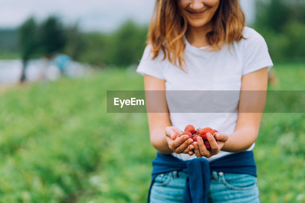 Woman is holding ripe red strawberries at a u-pick farm in washington