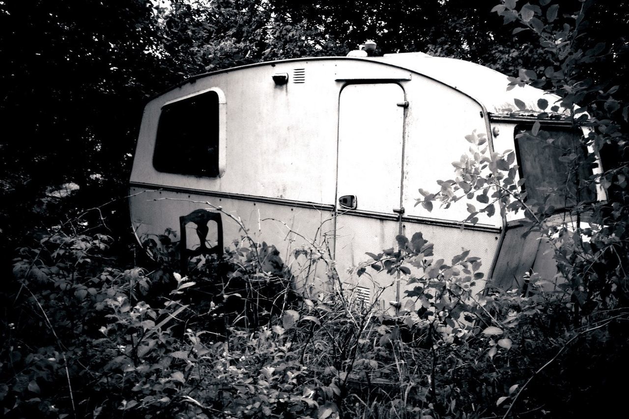 Trailer home in forest