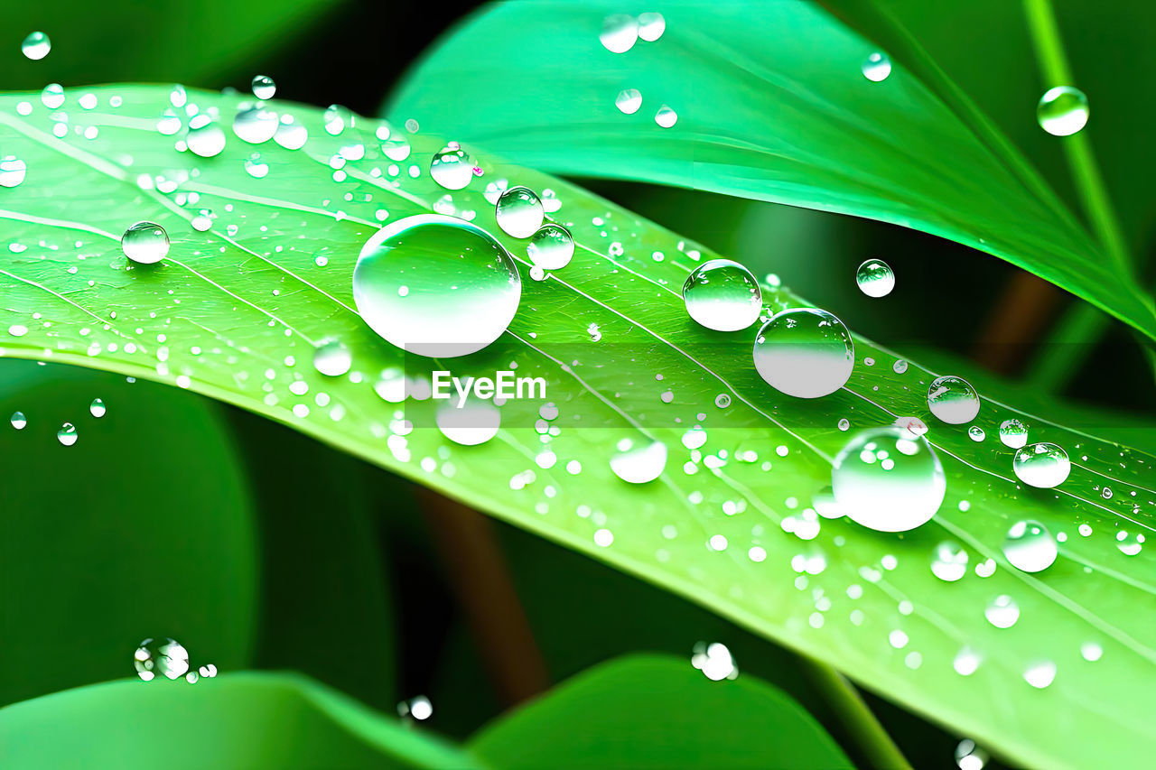 green, water, drop, plant part, leaf, wet, nature, close-up, dew, plant, no people, freshness, moisture, beauty in nature, grass, macro photography, rain, fragility, environment, growth, outdoors, backgrounds, selective focus, macro, vibrant color, purity, blade of grass