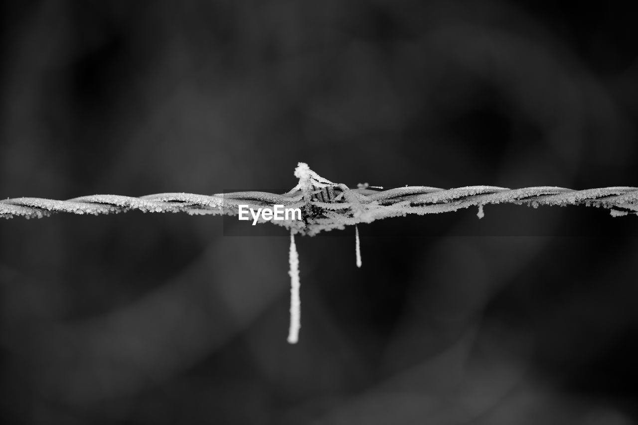 Close-up of frosted barbed wire fence