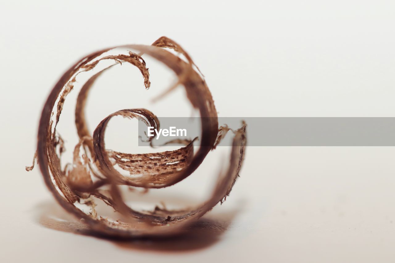 Close-up of wood shavings against white background