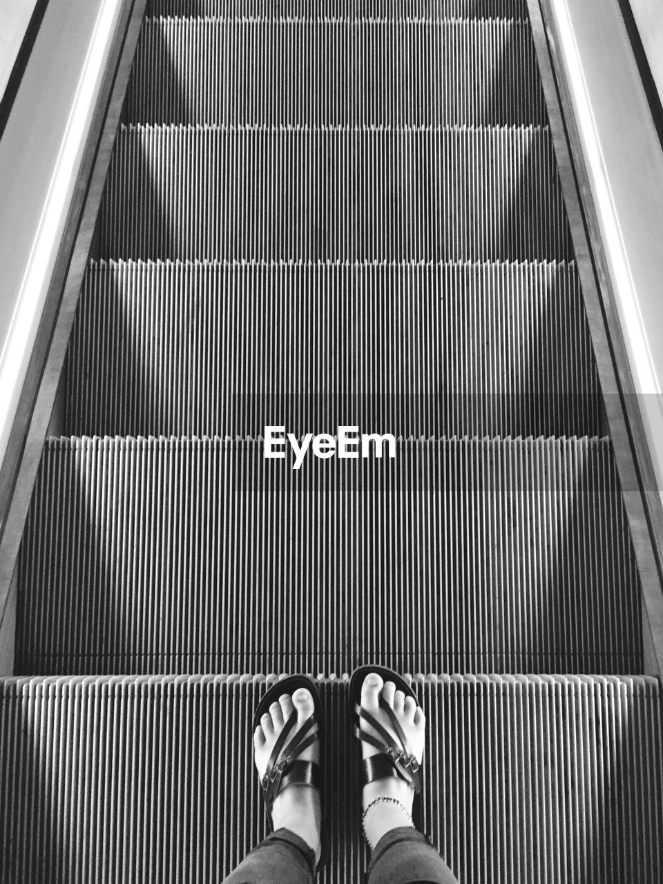 Low section of women standing on escalator