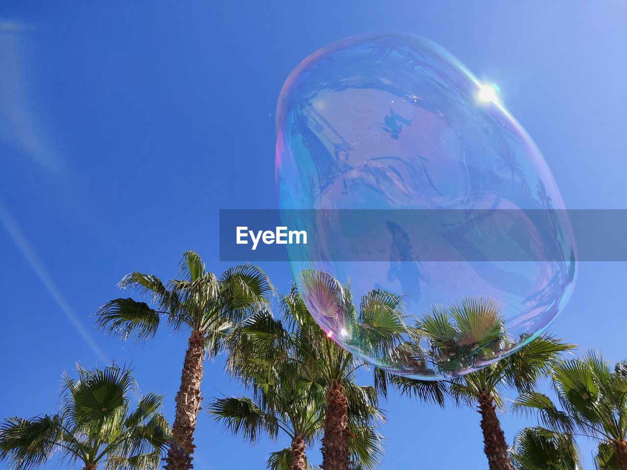 LOW ANGLE VIEW OF BUBBLES AGAINST BLUE SKY