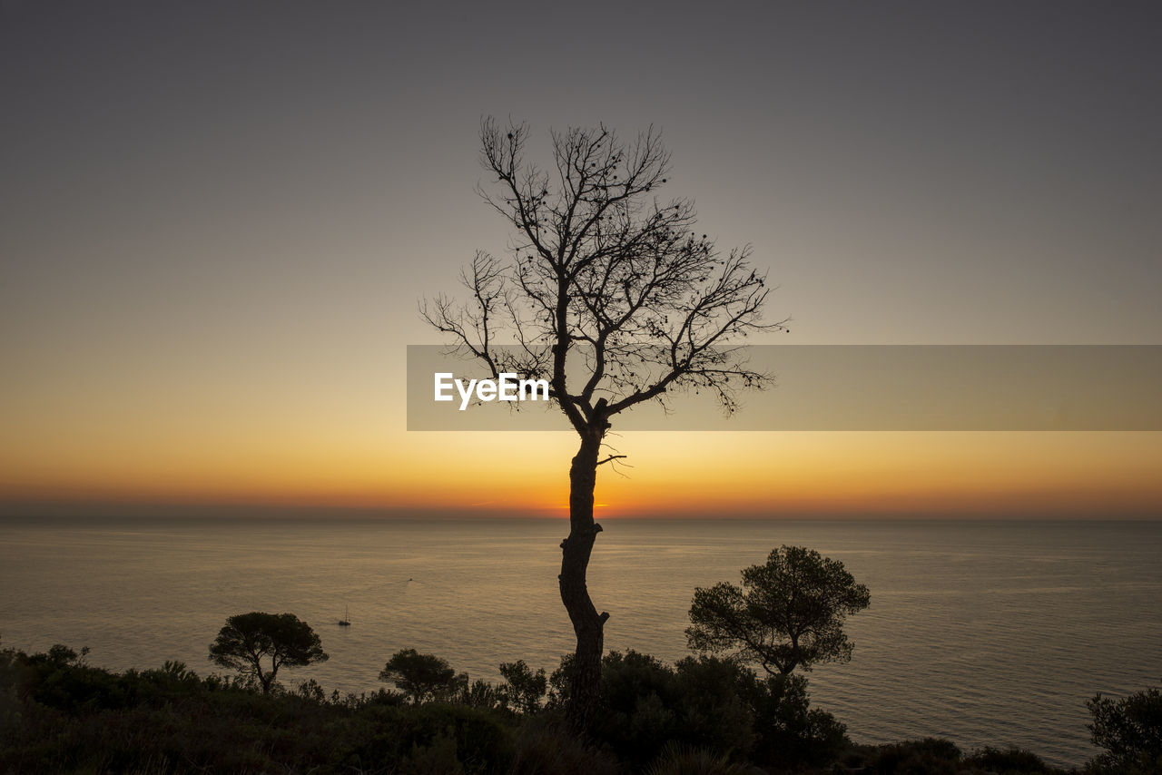 Silhouette bare tree by sea against sky during sunset