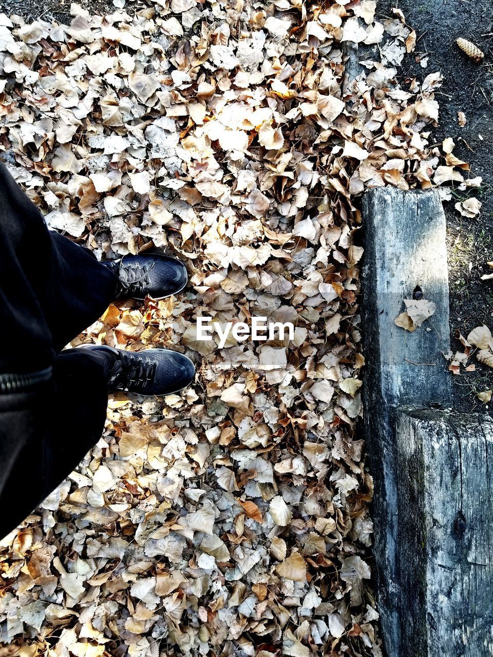 LOW SECTION OF PERSON STANDING ON FALLEN AUTUMN