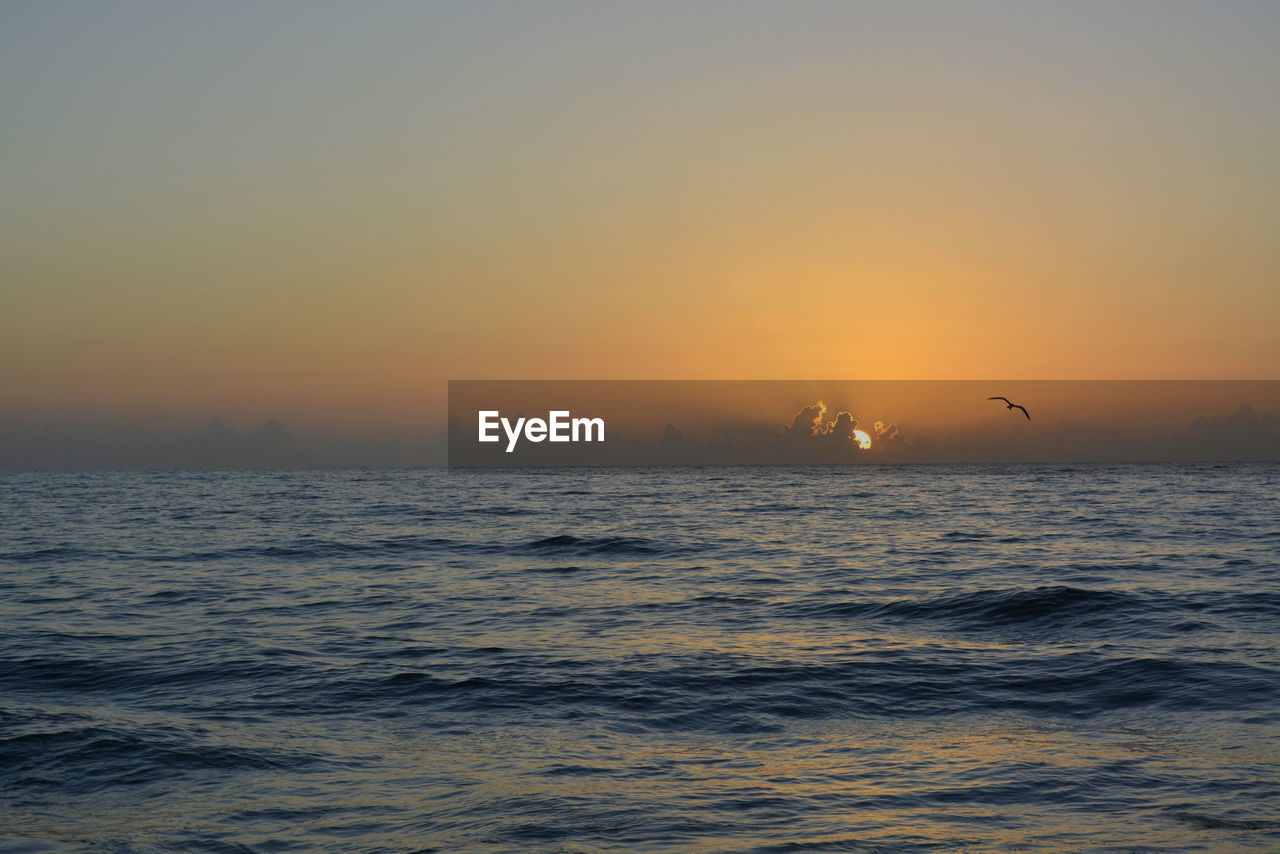 SILHOUETTE BIRDS FLYING OVER SEA AGAINST SKY DURING SUNSET