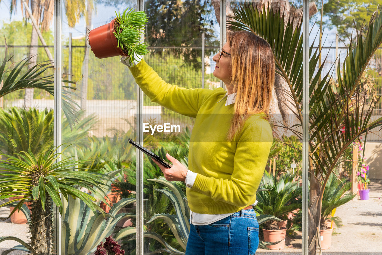 Side view of female buyer in mask picking potted succulent plant while standing near stall in garden center