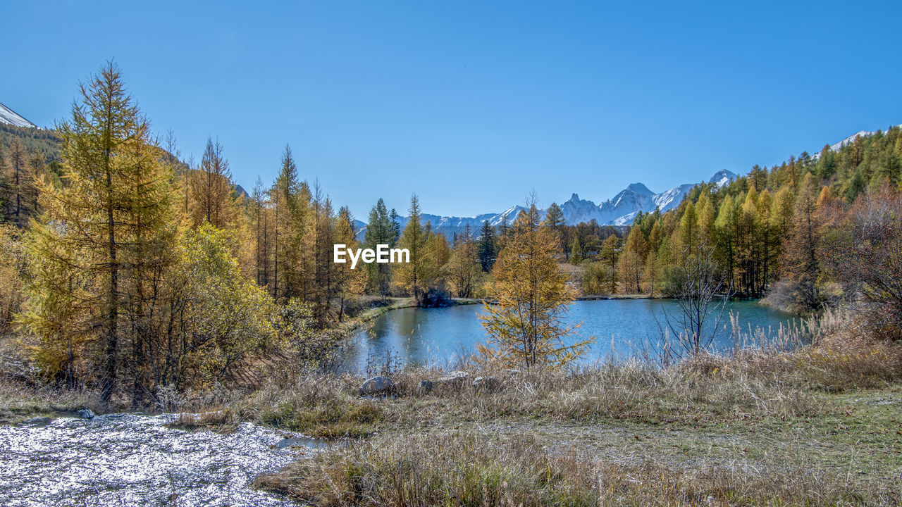 scenic view of lake by trees against clear blue sky