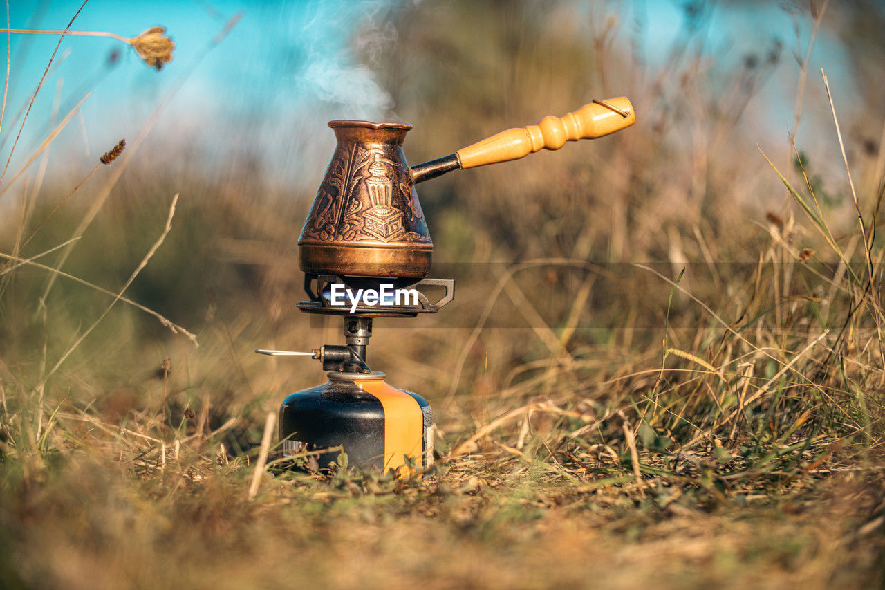 nature, plant, grass, autumn, no people, morning, light, land, outdoors, day, selective focus, sunlight