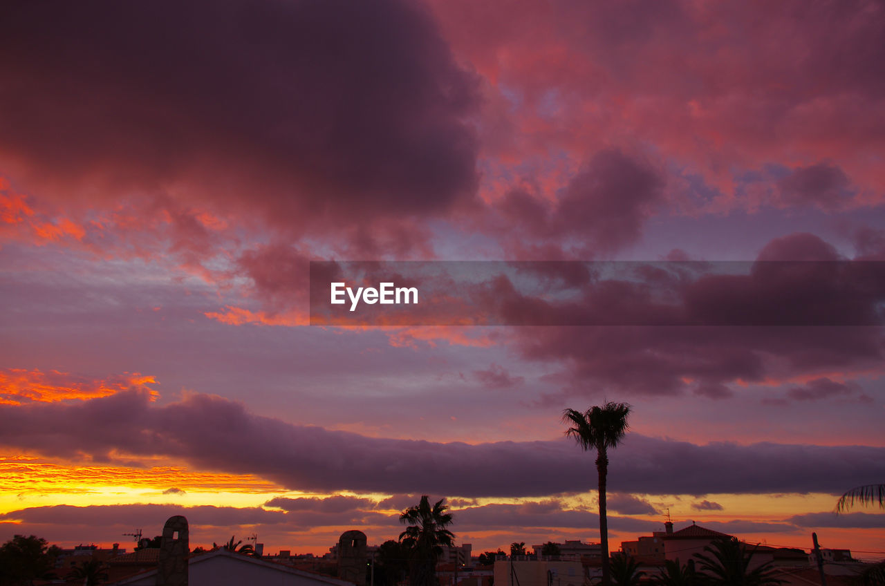 High section of trees against scenic sky