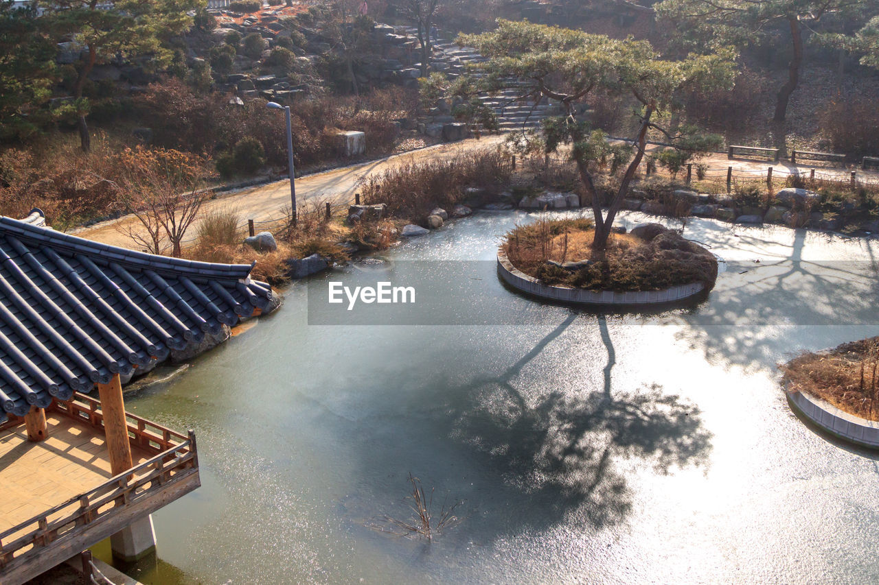 HIGH ANGLE VIEW OF TREES