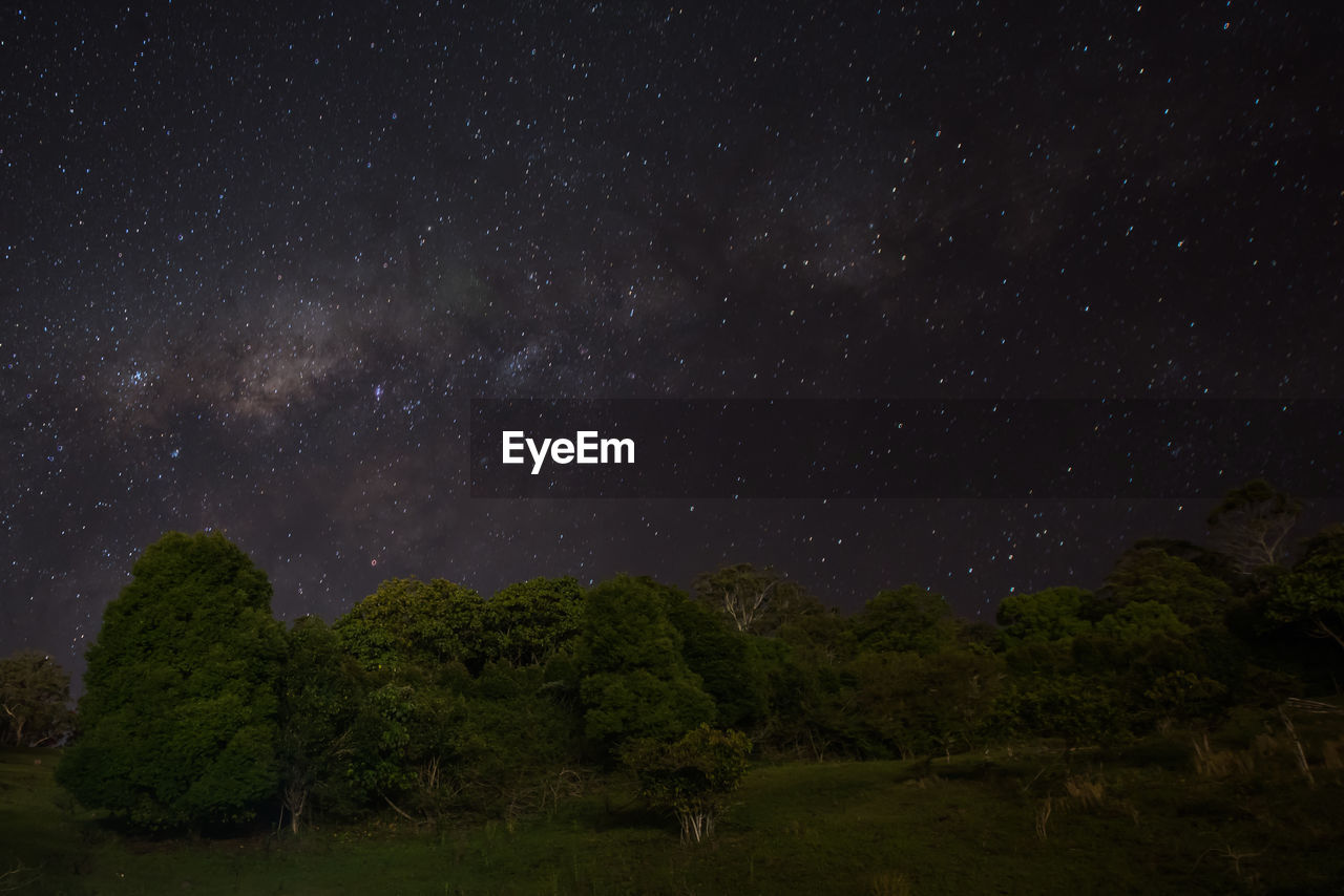 SCENIC VIEW OF TREES AGAINST STAR FIELD