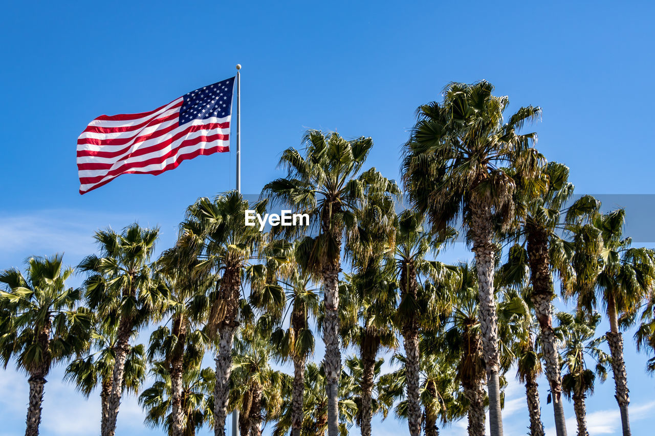 Low angle view of palm trees us flag against blue sky
